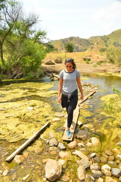 DSC_6539 (Large).JPG